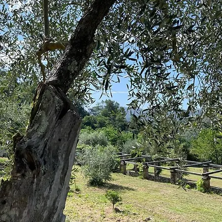 Podere Il Giardino - Casa In Casale Tipico Toscano, Con Parco E Piscina - Lucca Apartment