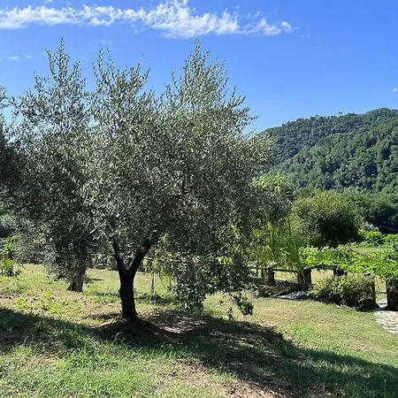 Podere Il Giardino - Casa In Casale Tipico Toscano, Con Parco E Piscina - Lucca *